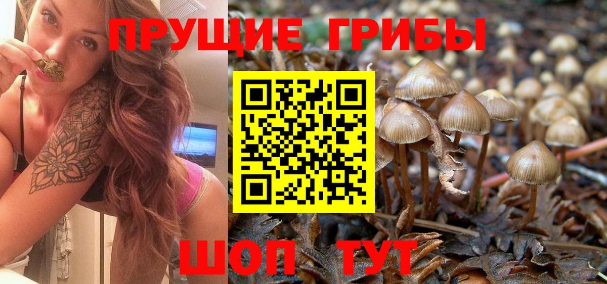 Новодвинск  Галлюциногенные грибы ЛСД  Вход с VPN  Псилоцибиновые грибы GOLDEN TEACHER 