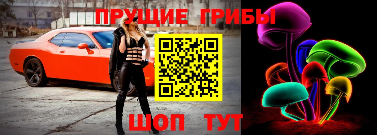 Псилоцибиновые грибы GOLDEN TEACHER Новодвинск